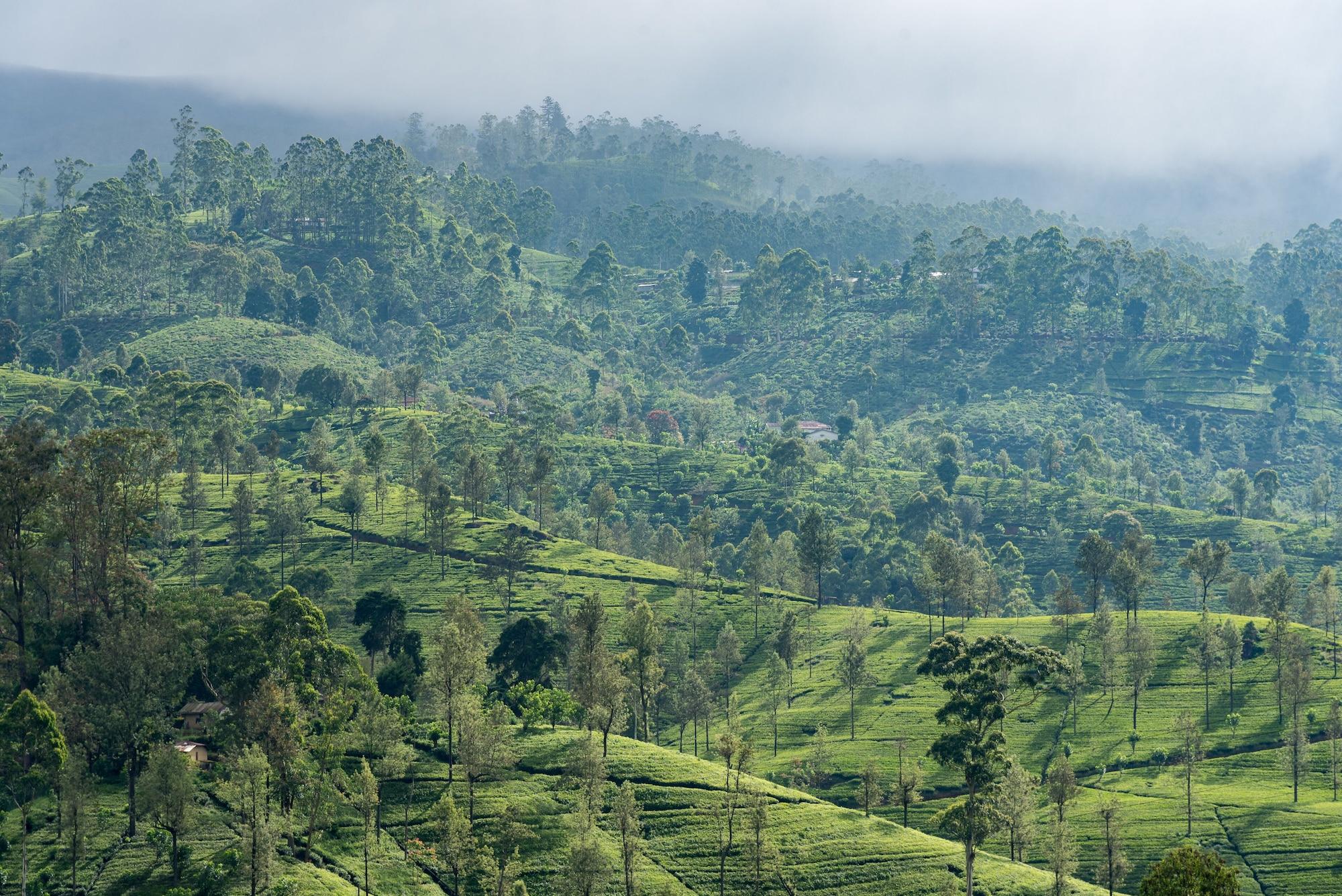 Langdale Boutique Hotel By Amaya Nuwara Eliya Kültér fotó