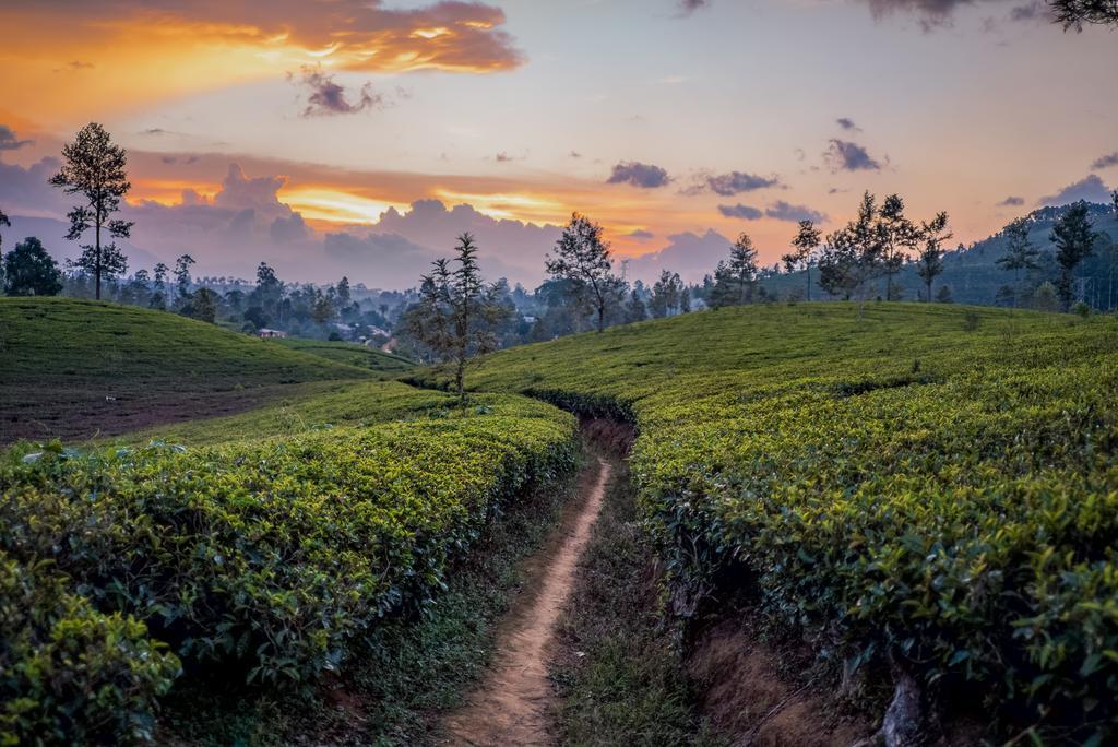 Langdale Boutique Hotel By Amaya Nuwara Eliya Kültér fotó